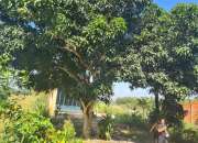 Chính chủ bán đất mặt tiền đường nhựa lớn Long Bình. Long Chữ. Bến Cầu. Tây Ninh