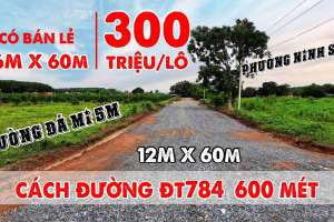 Bán đất gần đường Vành Đai núi Bà Đen, cách đường 784, phường Ninh Sơn chỉ 600 mét giá rẻ