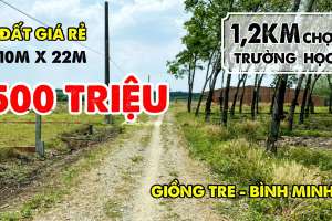 Bán đất giá rẻ tại ấp Giồng Tre, xã Bình Minh thành phố Tây Ninh cách chợ 1,2km