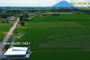 Mức thu tiền sử dụng đất khi chuyển đất nông nghiệp sang đất ở từ 1/1/2026