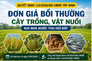 ĐẤT BỊ THU HỒI Ở TÂY NINH: CÂY TRỒNG, AO CÁ, VẬT NUÔI ĐƯỢC BỒI THƯỜNG BAO NHIÊU?