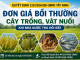 ĐẤT BỊ THU HỒI Ở TÂY NINH: CÂY TRỒNG, AO CÁ, VẬT NUÔI ĐƯỢC BỒI THƯỜNG BAO NHIÊU?