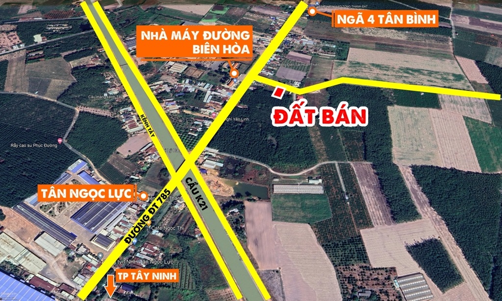 Đất đối diện nhà máy đường Biên Hòa, phường Ninh Sơn, thành phố Tây Ninh (nhánh ĐT785)