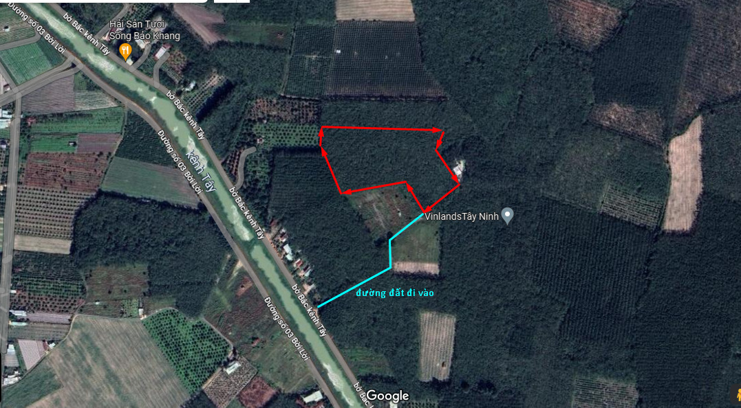[Đất chính chủ cần bán gấp] Gần 18000m2 tại Ninh Lợi, Ninh Thạnh, TP. Tây Ninh, cách đường Kênh Tây 200m