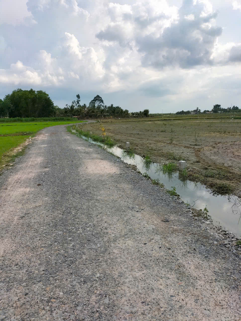 bán đất . DT 137 m2 . Full thổ cư . xã hảo đước . châu thành