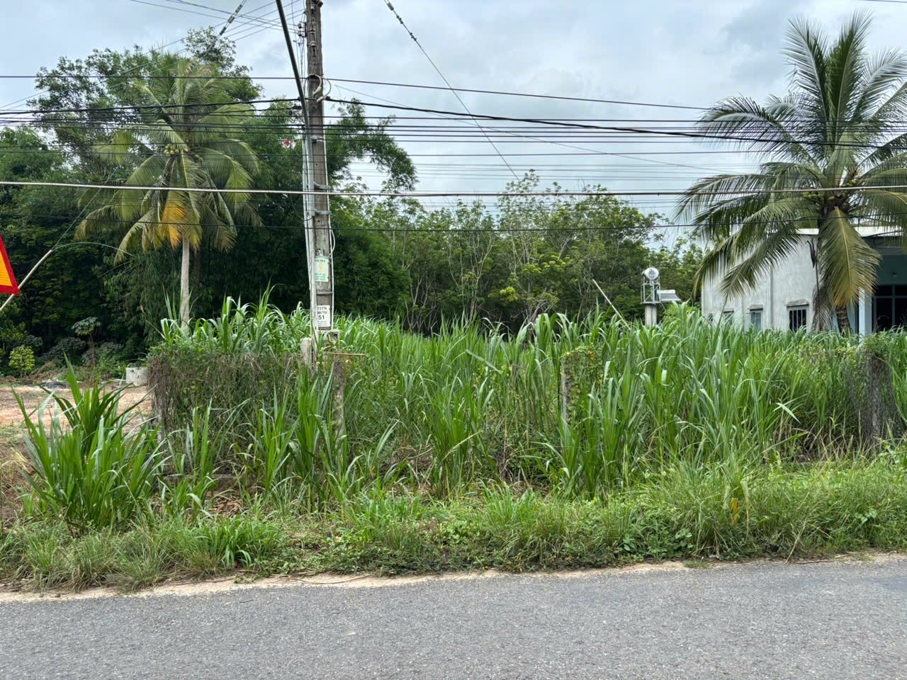 bán đất MT đường giồng cà . DT 275 m2 . Full thổ cư . xã bình minh . tp tây ninh