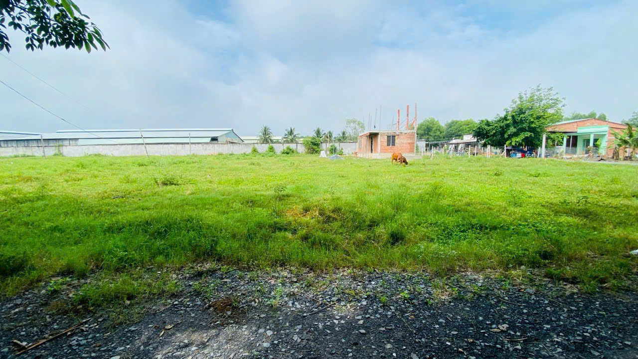 bán đất . DT 300 m2 . xã thái bình . châu thành . tây ninh