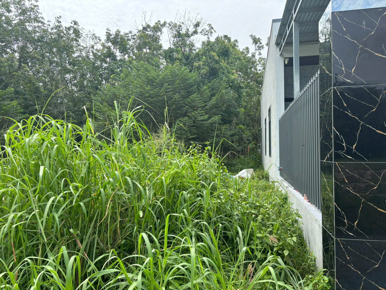 bán đất . DT 122 m2 . xã bình minh . tp tây ninh ( nay là phường bình minh )