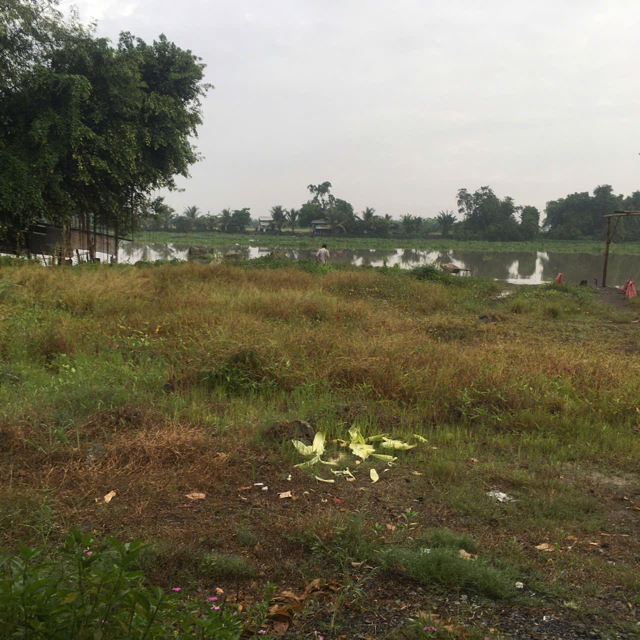 Đất Mặt Tiền Sông Vàm Cỏ, 20m mặt sông, 600m2 giá 1ty4 hàng hiếm