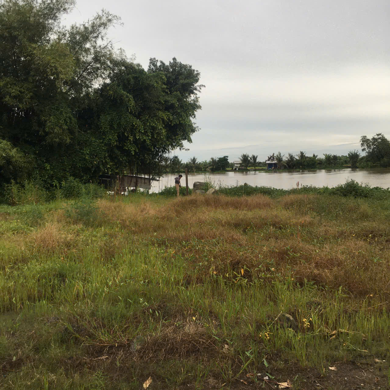 Đất Mặt Tiền Sông Vàm Cỏ, 20m mặt sông, 600m2 giá 1ty4 hàng hiếm