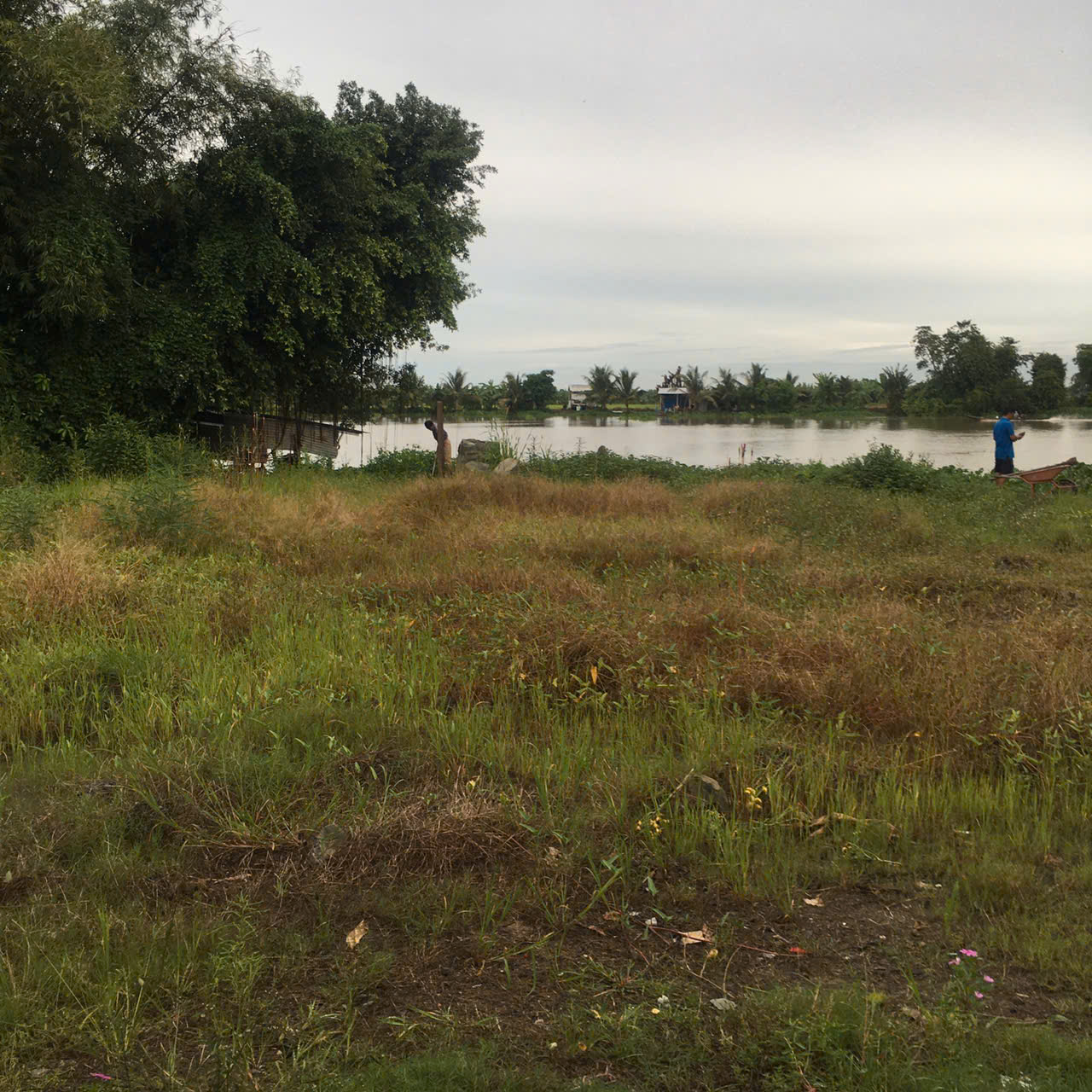 Đất Mặt Tiền Sông Vàm Cỏ, 20m mặt sông, 600m2 giá 1ty4 hàng hiếm