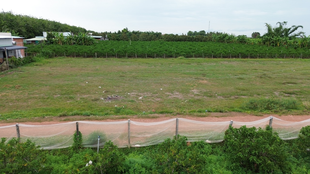 BÁN ĐẤT THỔ CƯ SUỐI ĐÁ, DƯƠNG MINH CHÂU, TÂY NINH – SỔ HỒNG RIÊNG – ĐƯỜNG THÔNG