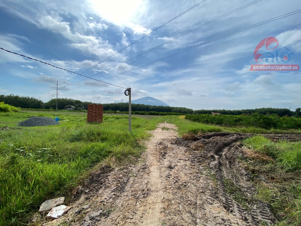 Bán đất thổ cư giá rẻ tại phường Bình Minh, Tây Ninh còn 2 lô cuối giá thanh lý